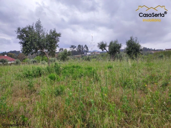 Terreno para Venda em Sertã Foto 4