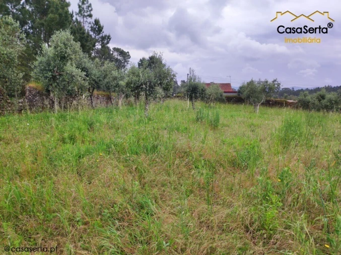 Terreno para Venda em Sertã Foto 3