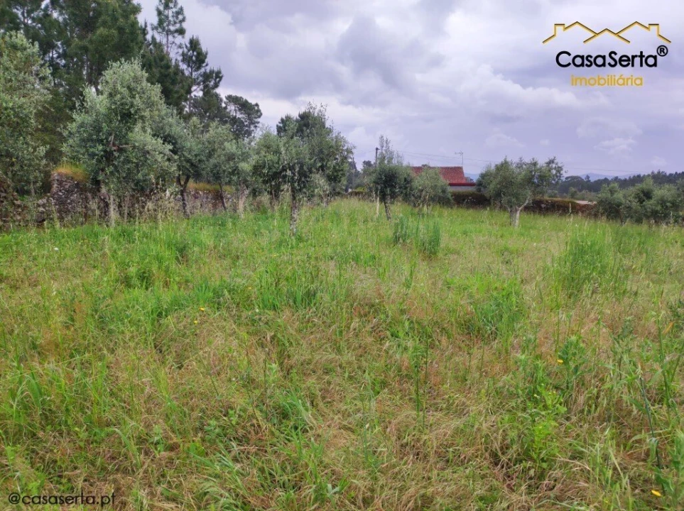 Terreno para Venda em Sertã Foto 3