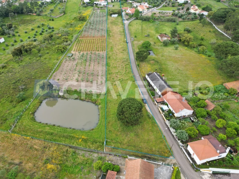 Terreno para Venda em Casais e Alviobeira Foto 1