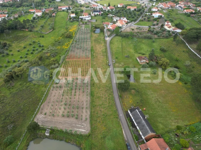 Terreno para Venda em Casais e Alviobeira Foto 5