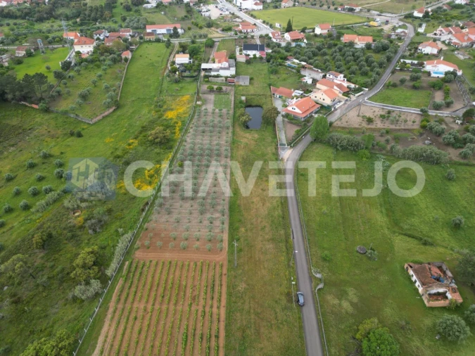Terreno para Venda em Casais e Alviobeira Foto 6
