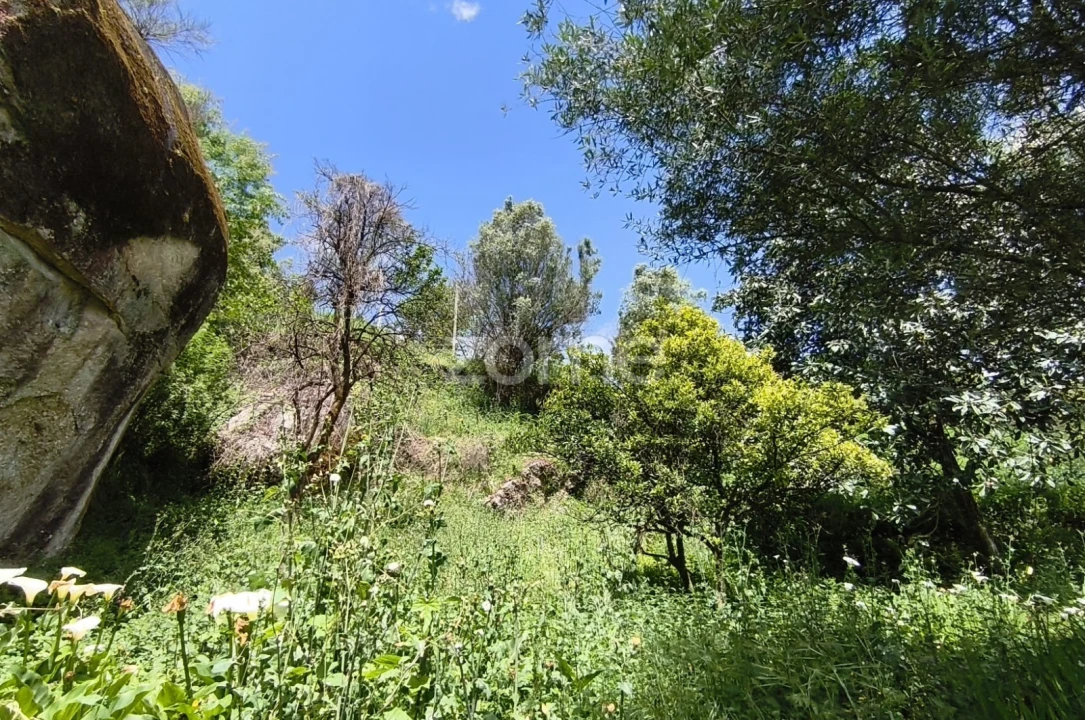 Moradia T2 para Venda em Valdreu Foto 21