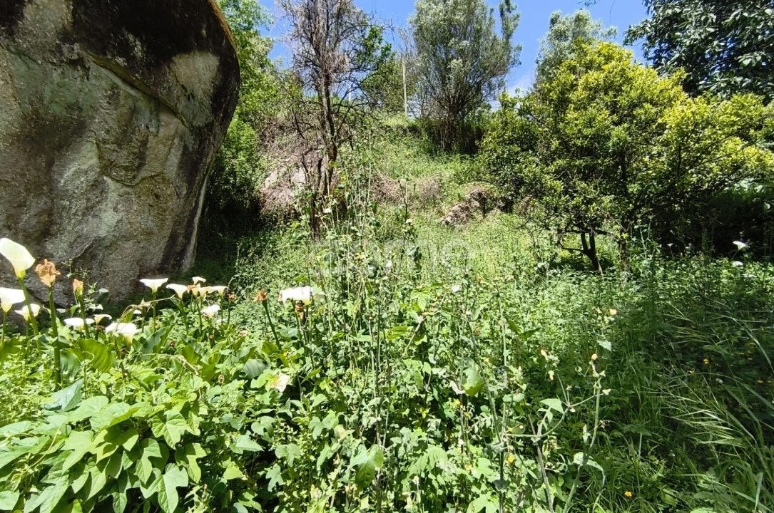 Moradia T2 para Venda em Valdreu Foto 24