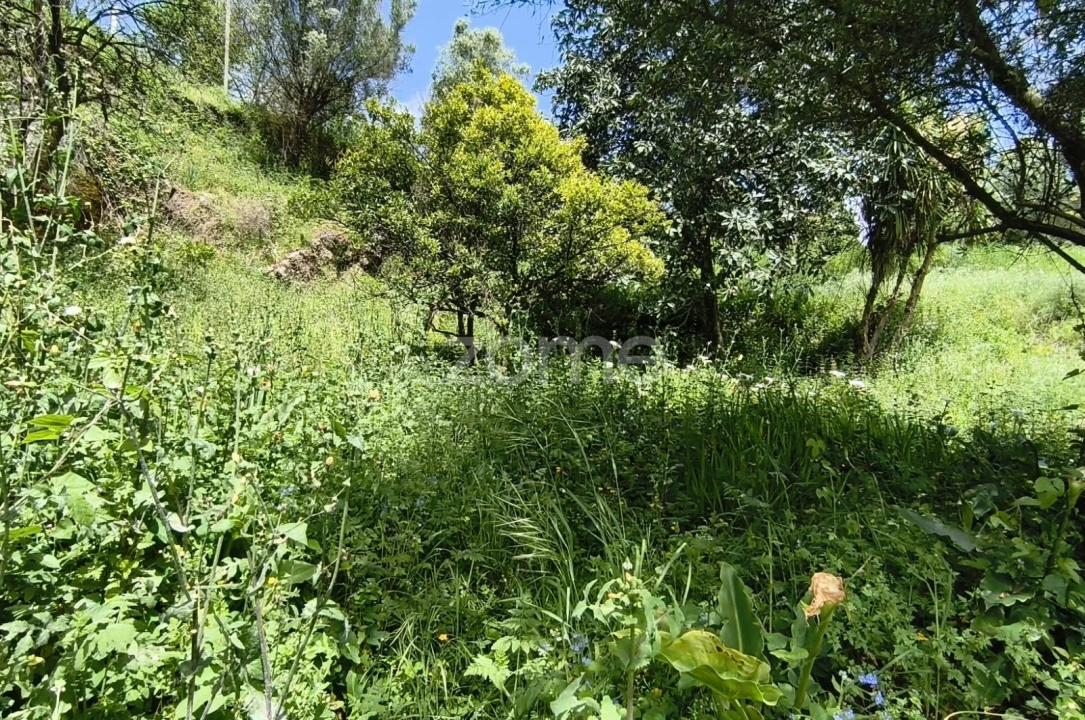 Moradia T2 para Venda em Valdreu Foto 25