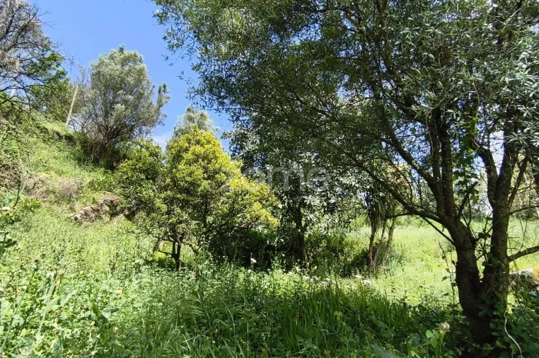 Moradia T2 para Venda em Valdreu Foto 26