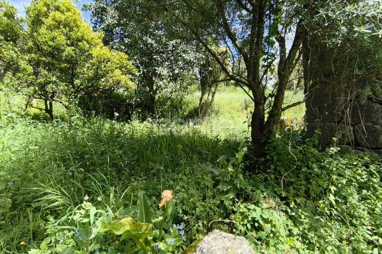 Moradia T2 para Venda em Valdreu Foto 23