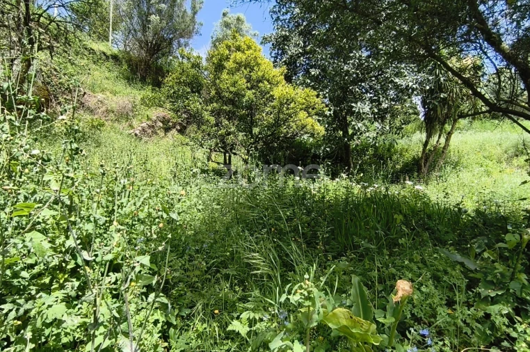 Moradia T2 para Venda em Valdreu Foto 25