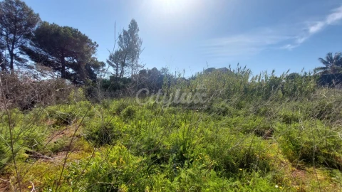 Terreno para Venda em Cascais e Estoril