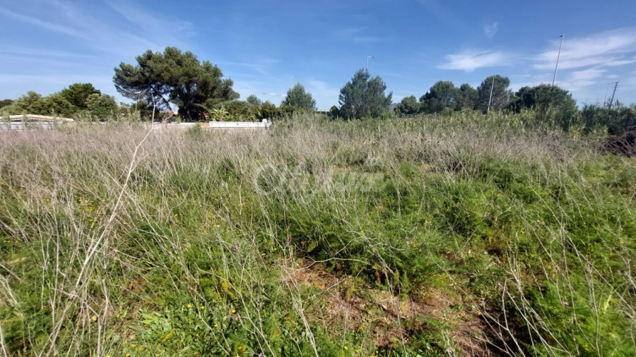 Terreno para Venda em Cascais e Estoril Foto 5