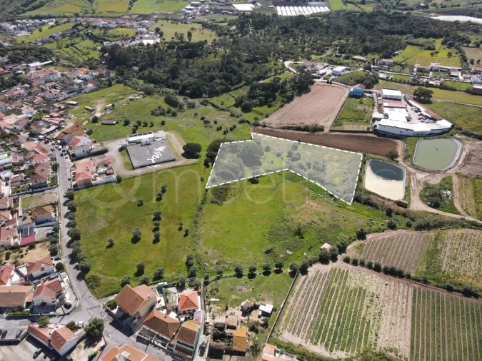 Terreno para Venda em Loures Foto 15