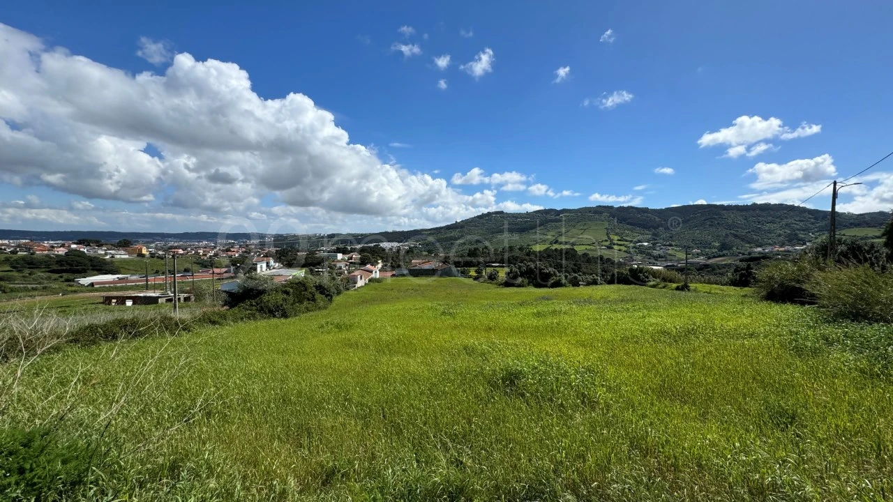 Terreno para Venda em Loures Foto 13