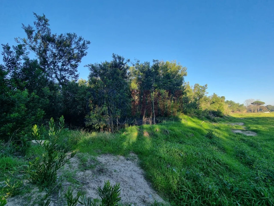Terreno para Venda em Apúlia e Fão Foto 3