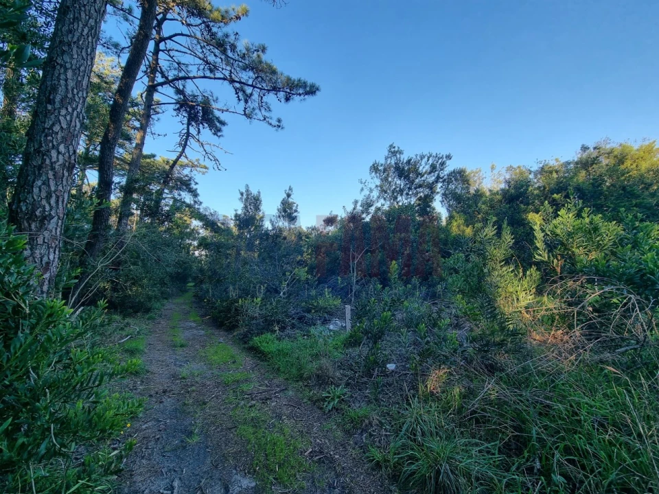 Terreno para Venda em Apúlia e Fão Foto 6
