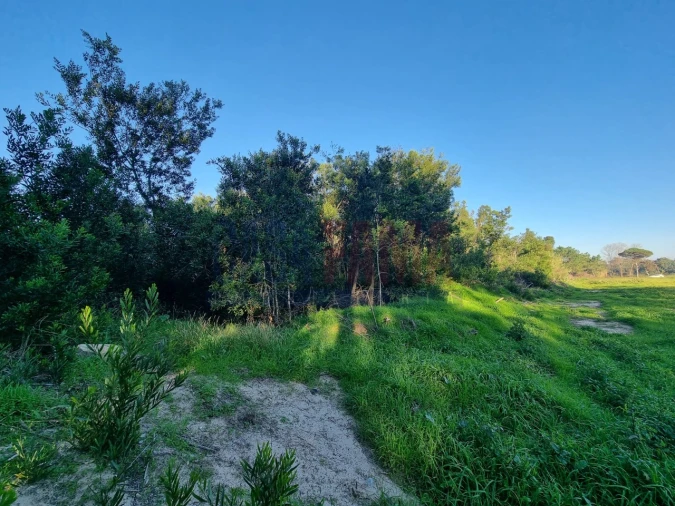 Terreno para Venda em Apúlia e Fão Foto 3