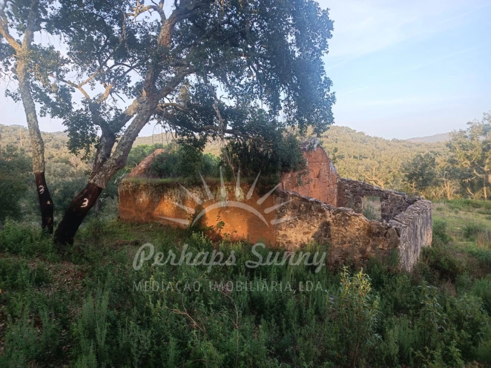 Terreno Misto para Venda em Grândola e Santa Margarida da Serra Foto 1