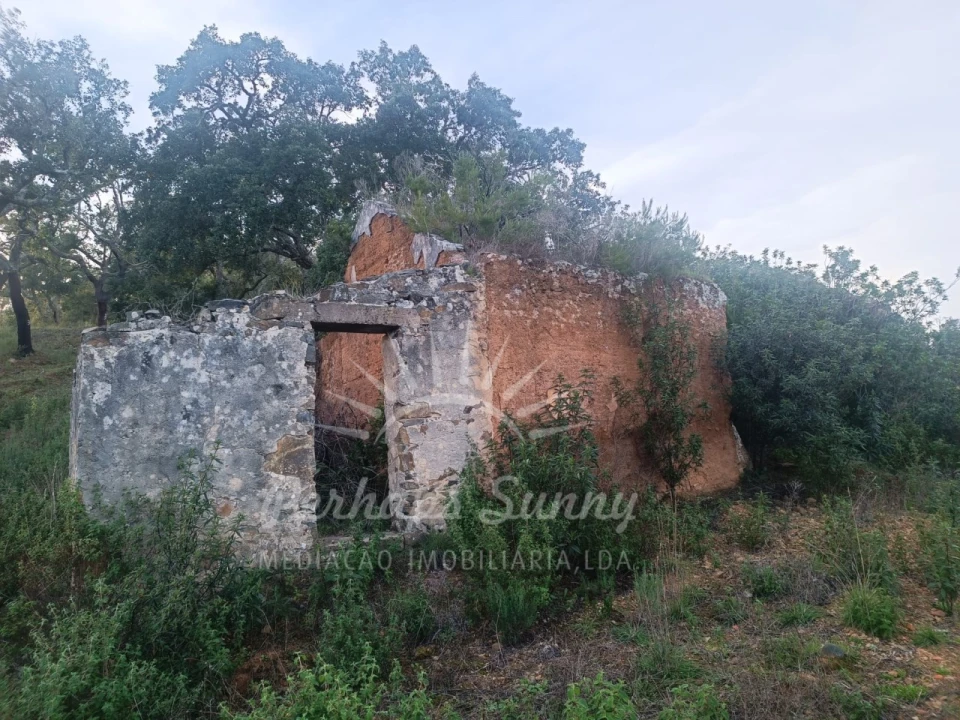 Terreno Misto para Venda em Grândola e Santa Margarida da Serra Foto 3