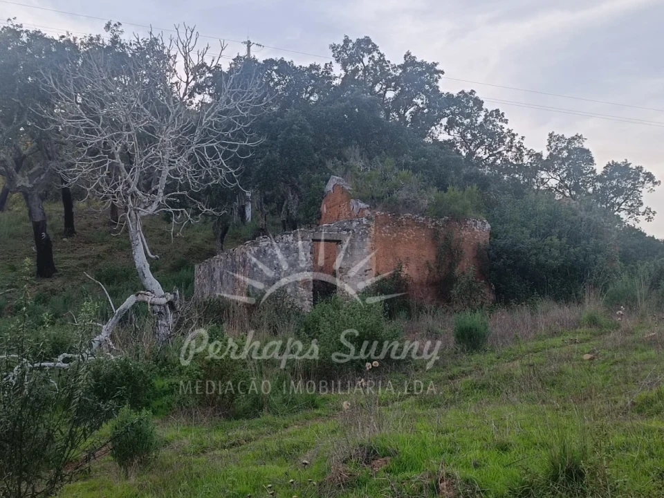 Terreno Misto para Venda em Grândola e Santa Margarida da Serra Foto 4