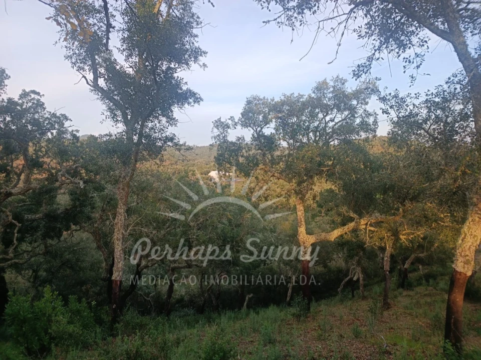 Terreno Misto para Venda em Grândola e Santa Margarida da Serra Foto 6