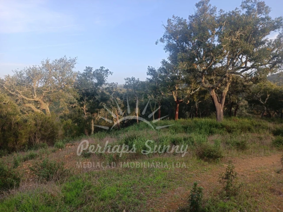Terreno Misto para Venda em Grândola e Santa Margarida da Serra Foto 12
