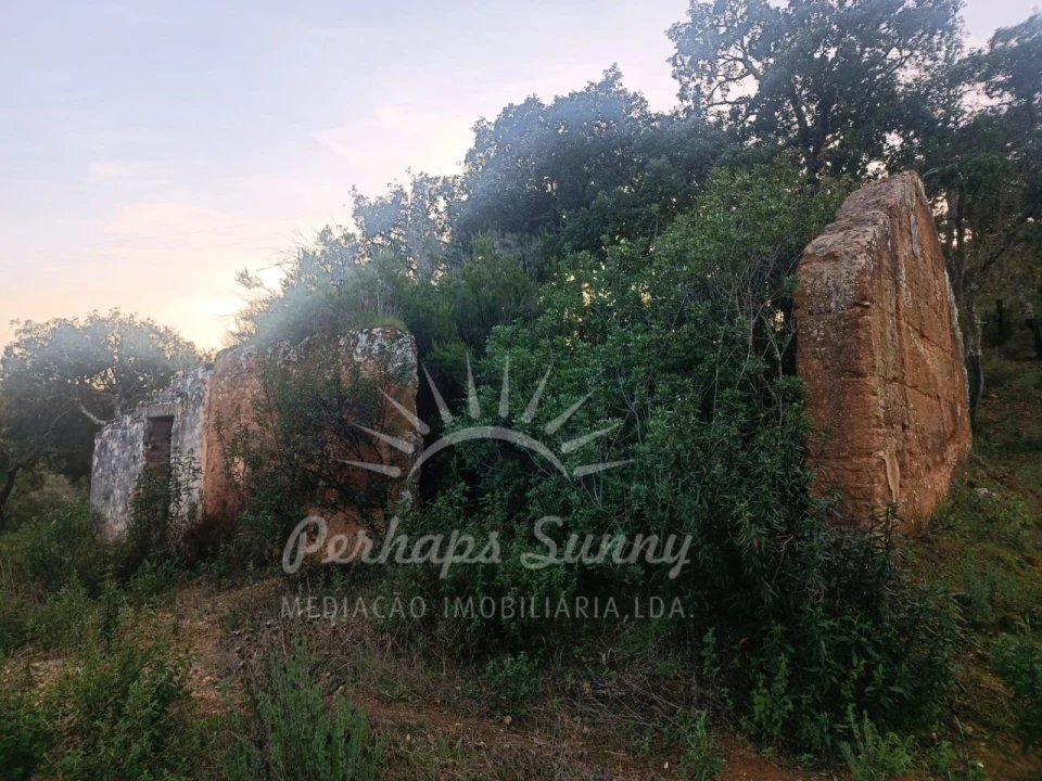 Terreno Misto para Venda em Grândola e Santa Margarida da Serra Foto 13
