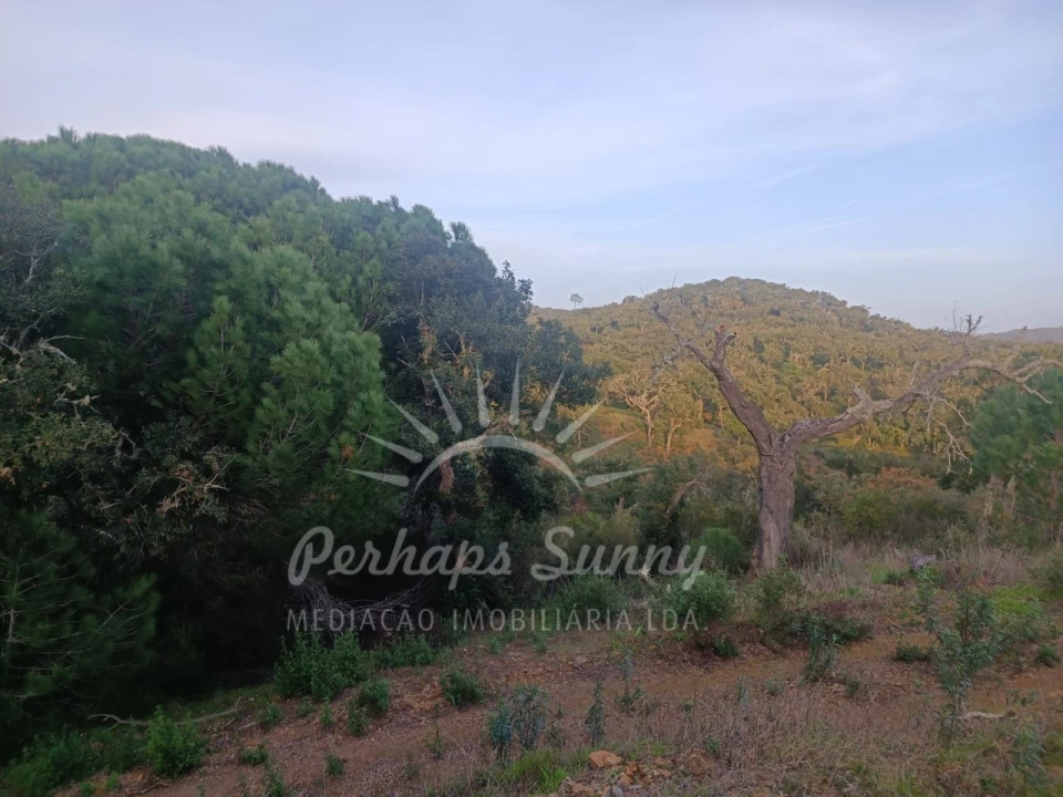 Terreno Misto para Venda em Grândola e Santa Margarida da Serra Foto 14