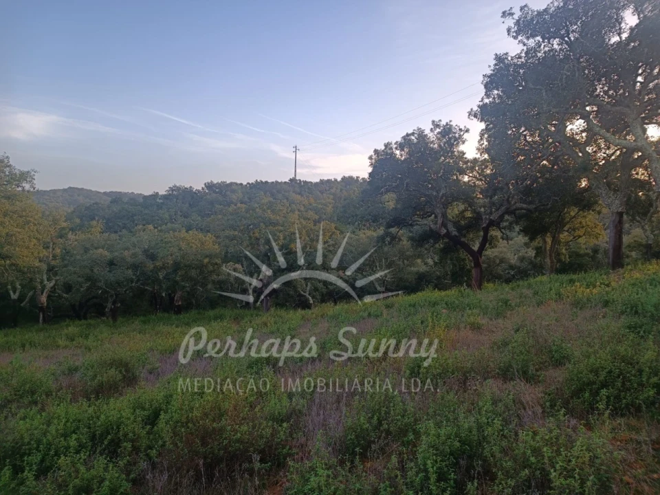 Terreno Misto para Venda em Grândola e Santa Margarida da Serra Foto 16