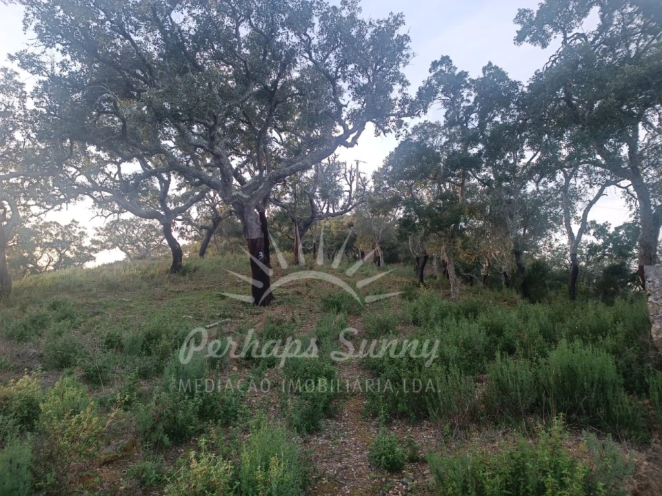 Terreno Misto para Venda em Grândola e Santa Margarida da Serra Foto 19