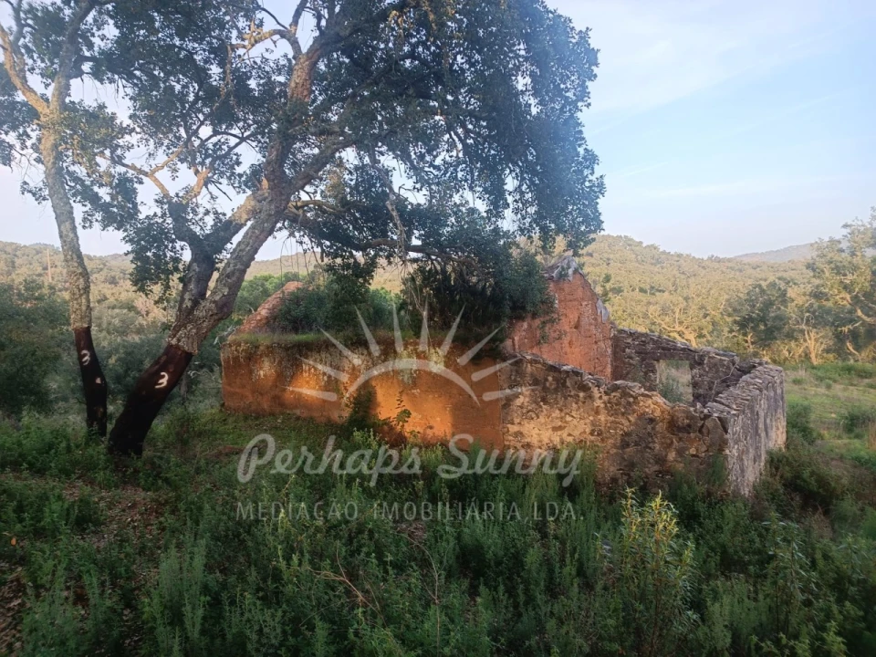 Terreno Misto para Venda em Grândola e Santa Margarida da Serra Foto 20