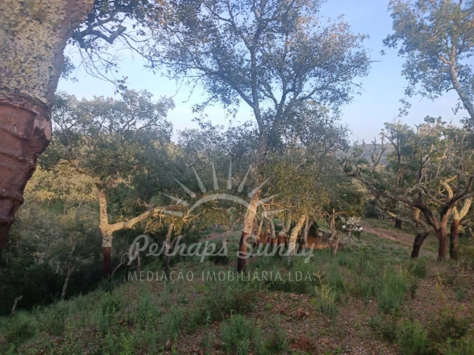 Terreno Misto para Venda em Grândola e Santa Margarida da Serra Foto 7