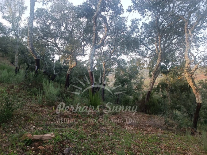 Terreno Misto para Venda em Grândola e Santa Margarida da Serra Foto 8