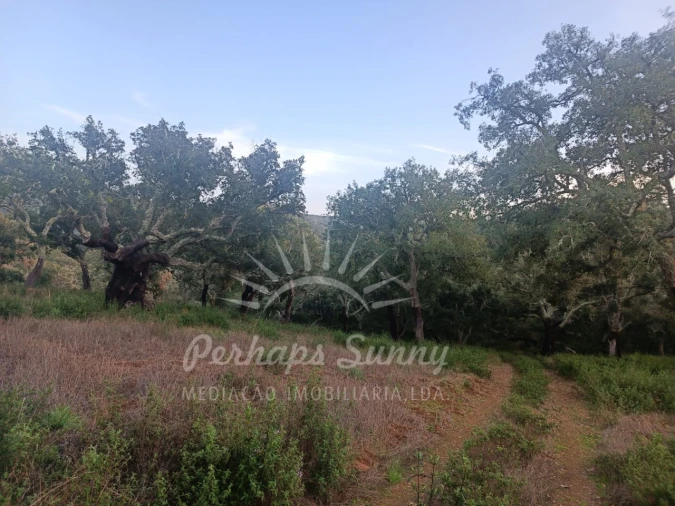 Terreno Misto para Venda em Grândola e Santa Margarida da Serra Foto 11