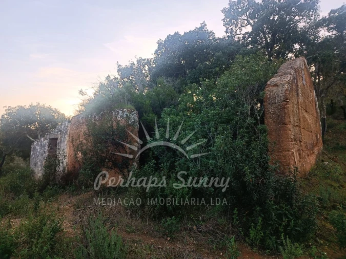 Terreno Misto para Venda em Grândola e Santa Margarida da Serra Foto 13