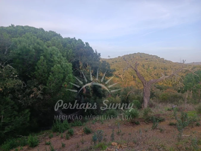 Terreno Misto para Venda em Grândola e Santa Margarida da Serra Foto 14