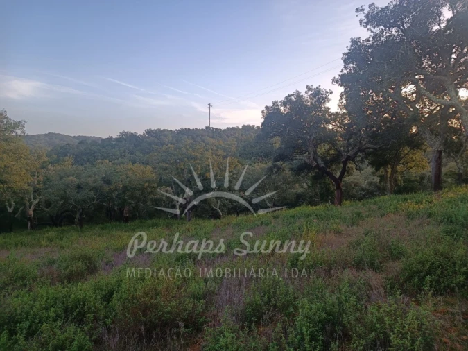 Terreno Misto para Venda em Grândola e Santa Margarida da Serra Foto 16