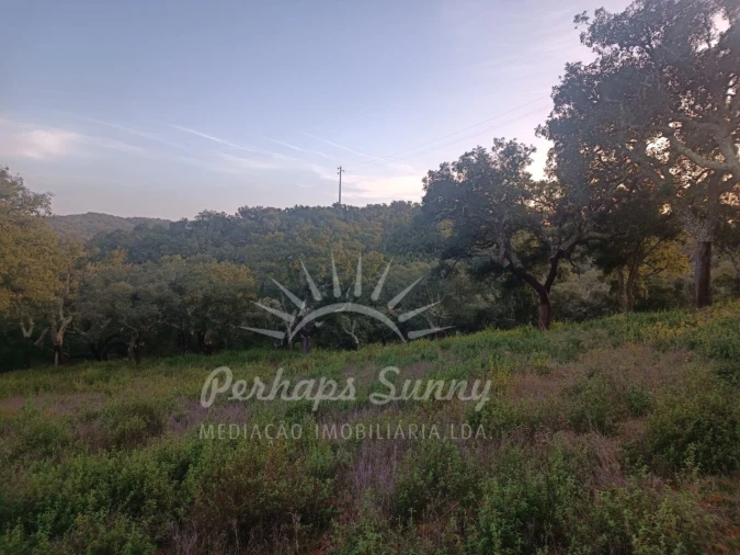 Terreno Misto para Venda em Grândola e Santa Margarida da Serra Foto 17