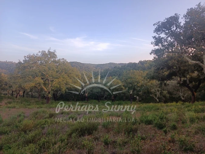 Terreno Misto para Venda em Grândola e Santa Margarida da Serra Foto 18