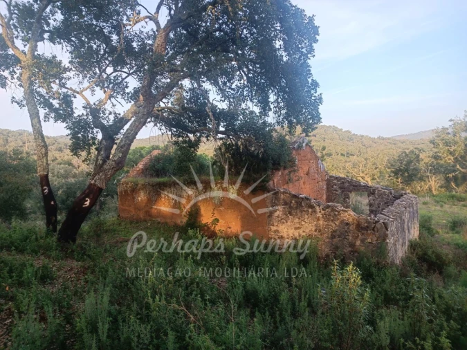 Terreno Misto para Venda em Grândola e Santa Margarida da Serra Foto 20