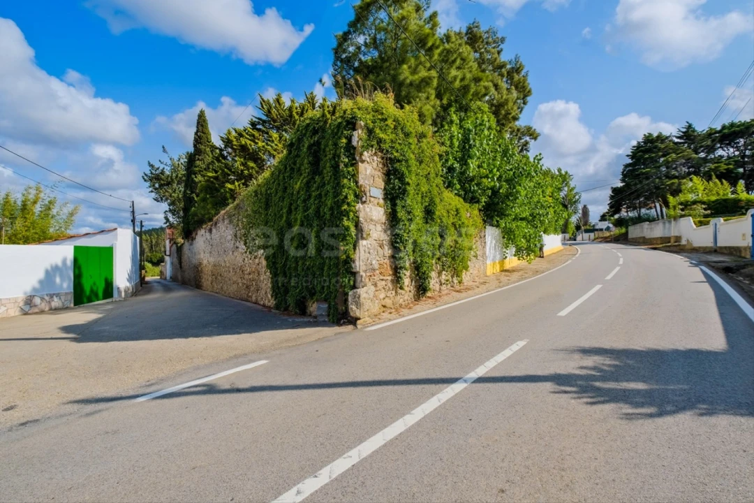 Quinta T6 para Venda em Roliça Foto 48