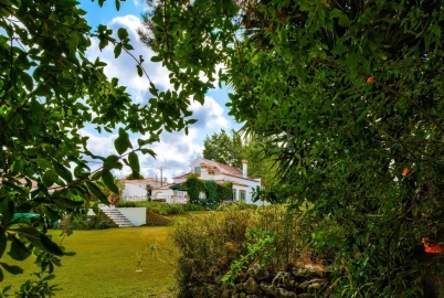 Quinta T6 para Venda em Roliça