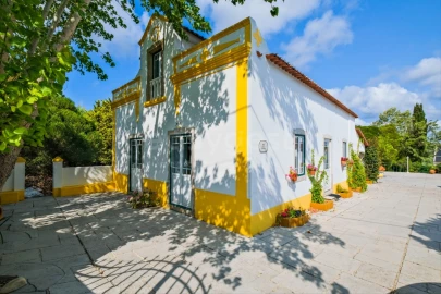 Quinta T6 para Venda em Roliça