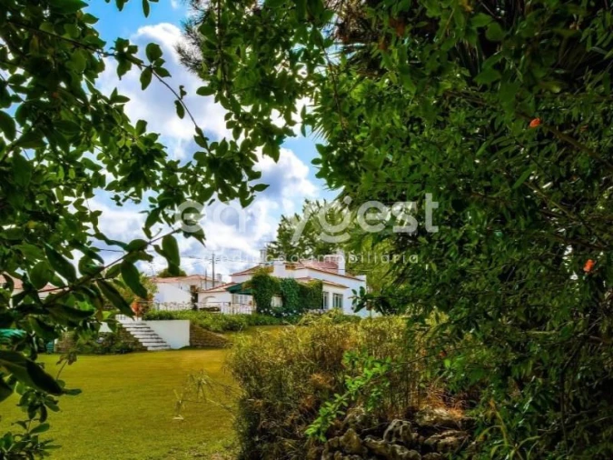 Quinta T6 para Venda em Roliça Foto 8