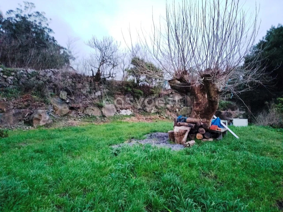 Moradia T3 para Venda em Praia da Vitoria (Santa Cruz) Foto 7