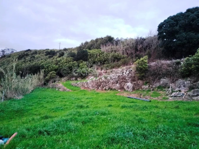 Moradia T3 para Venda em Praia da Vitoria (Santa Cruz) Foto 6