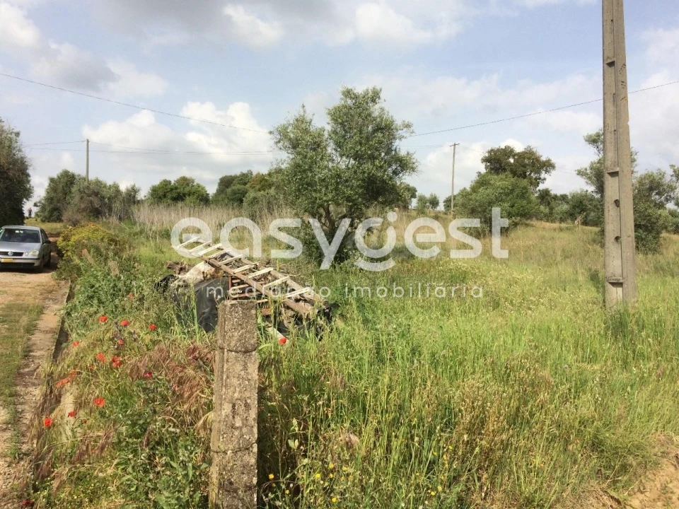 Terreno Agricola ou Rústico para Venda em Nossa Senhora da Vila, Nossa Senhora do Bispo e Silveiras Foto 4
