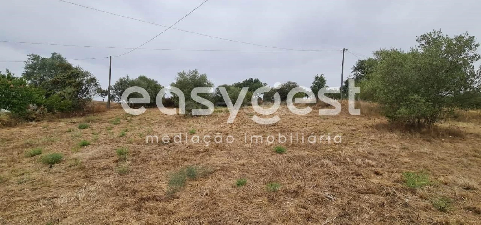 Terreno Agricola ou Rústico para Venda em Nossa Senhora da Vila, Nossa Senhora do Bispo e Silveiras Foto 8