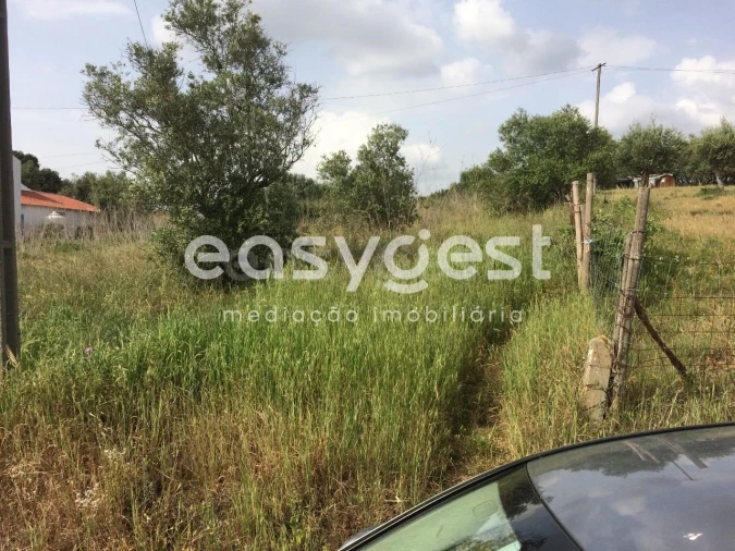 Terreno Agricola ou Rústico para Venda em Nossa Senhora da Vila, Nossa Senhora do Bispo e Silveiras Foto 2