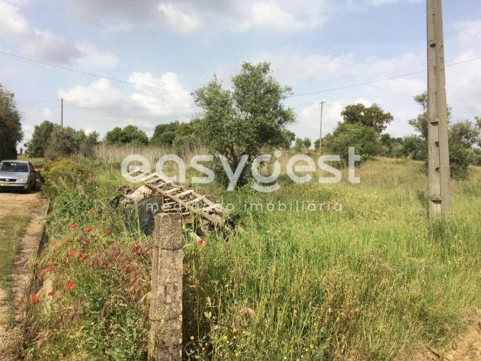 Terreno Agricola ou Rústico para Venda em Nossa Senhora da Vila, Nossa Senhora do Bispo e Silveiras Foto 4