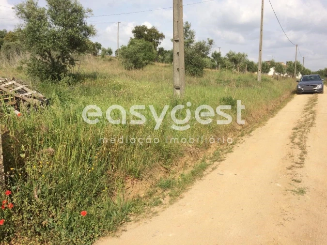 Terreno Agricola ou Rústico para Venda em Nossa Senhora da Vila, Nossa Senhora do Bispo e Silveiras Foto 5