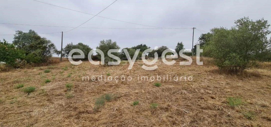 Terreno Agricola ou Rústico para Venda em Nossa Senhora da Vila, Nossa Senhora do Bispo e Silveiras Foto 8